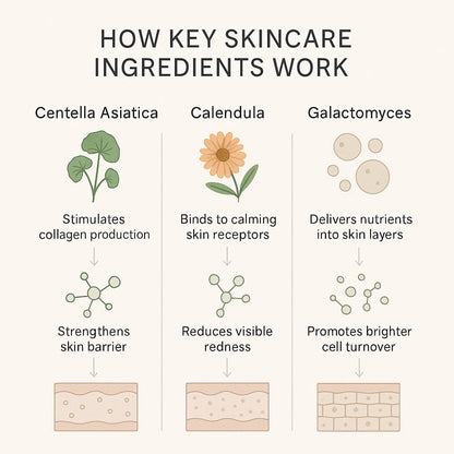 Galactomyces 100% Brightening Essence - Delune 